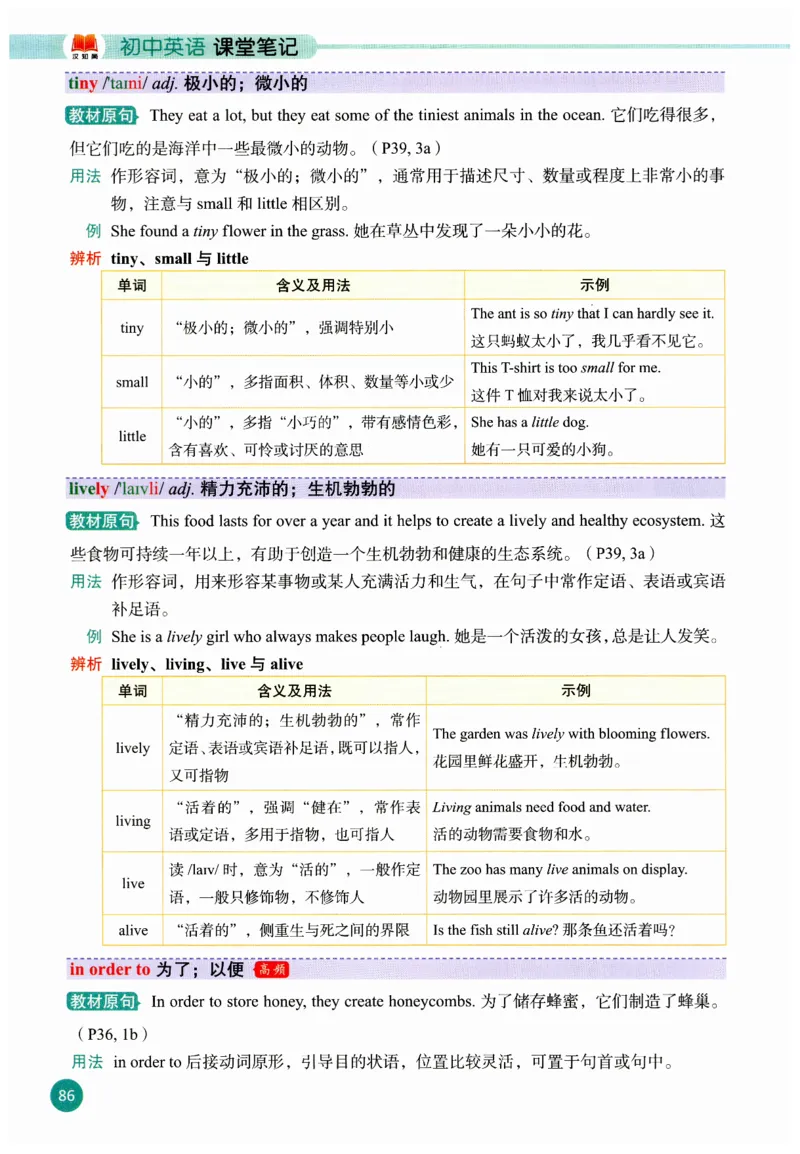2025秋新人教版八年级上册英语课堂笔记_初中英语新版_人教版初中英语课ben电子版赠品_初中英语8年级上册