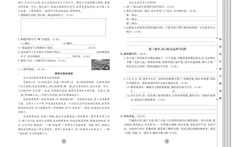 《核心期末》4年级上册语文（RJ版）_2024年人教版小学数学一二三四五六年级上册下册期中期末试a0747_小学全科《同步练习+精品试卷》打包下载（1-6年级单元月考期中期末试卷）