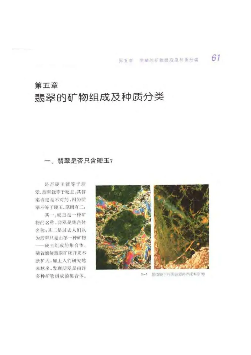 秋眉翡翠-3_X018-玉石珠宝鉴定教程最新合集_6、翡翠鉴定专题全套课程_翡翠电子书_秋眉翡翠