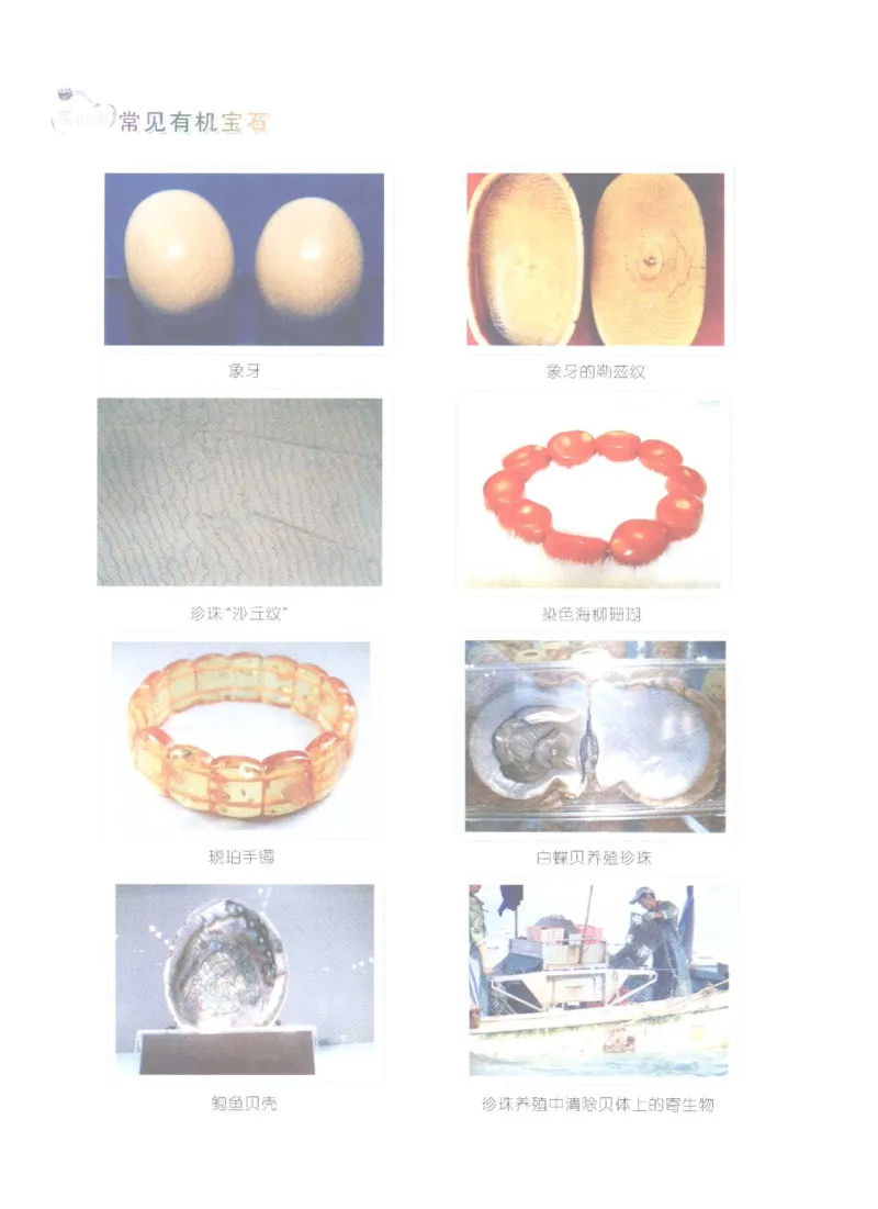 珠宝玉石鉴定实训_12166120_X018-玉石珠宝鉴定教程最新合集_4、珠宝玉石鉴定投资手册合集