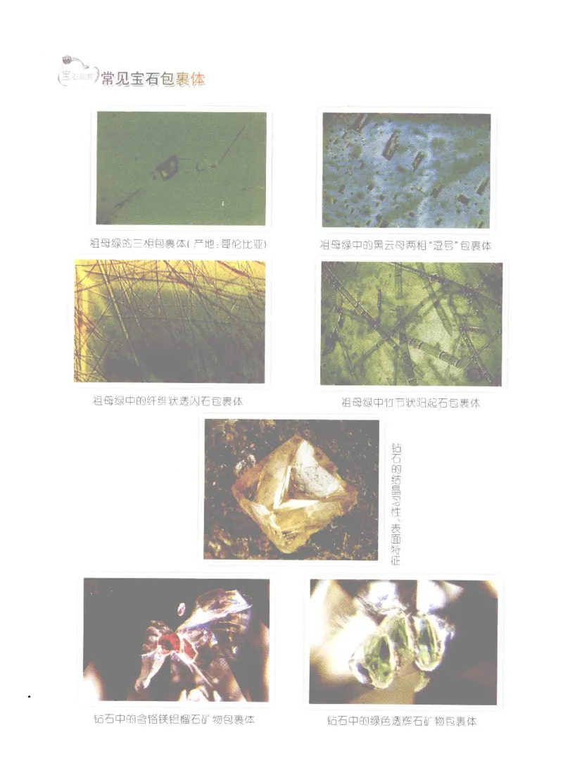 珠宝玉石鉴定实训_12166120_X018-玉石珠宝鉴定教程最新合集_4、珠宝玉石鉴定投资手册合集