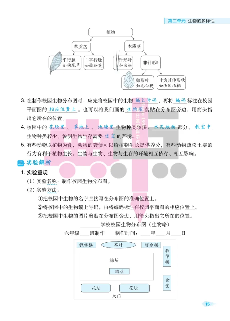 23春典中点六年级科学下(JK版)_2024年人教版小学数学一二三四五六年级上册下册期中期末试a0747_小学全科《同步练习+精品试卷》打包下载（1-6年级单元月考期中期末试卷）_小学科学