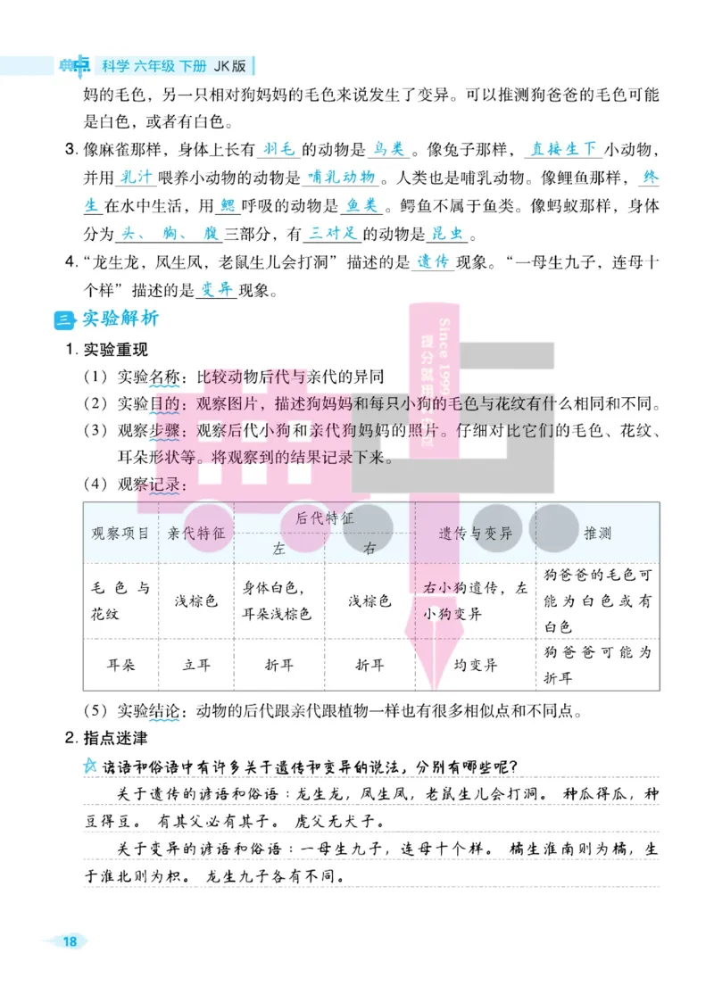 23春典中点六年级科学下(JK版)_2024年人教版小学数学一二三四五六年级上册下册期中期末试a0747_小学全科《同步练习+精品试卷》打包下载（1-6年级单元月考期中期末试卷）_小学科学