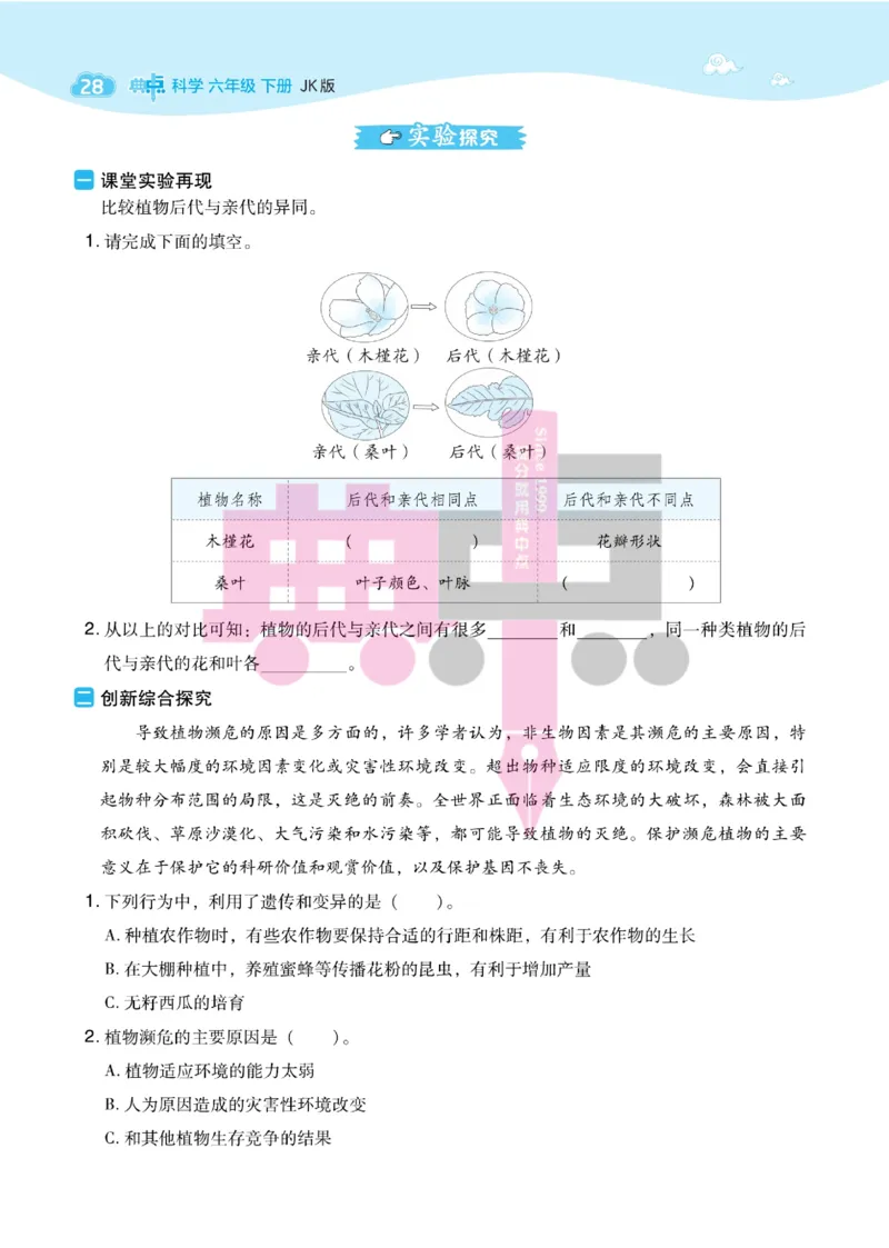 23春典中点六年级科学下(JK版)_2024年人教版小学数学一二三四五六年级上册下册期中期末试a0747_小学全科《同步练习+精品试卷》打包下载（1-6年级单元月考期中期末试卷）_小学科学