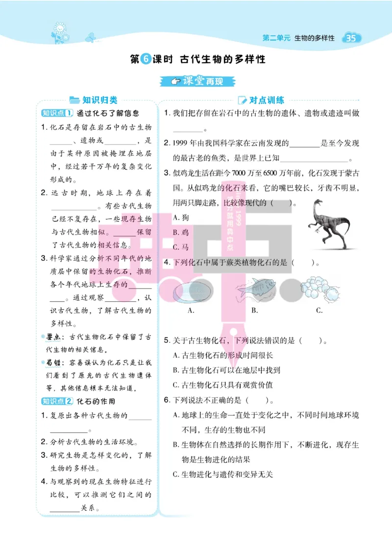 23春典中点六年级科学下(JK版)_2024年人教版小学数学一二三四五六年级上册下册期中期末试a0747_小学全科《同步练习+精品试卷》打包下载（1-6年级单元月考期中期末试卷）_小学科学