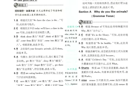 2025必刷题初中RJ英语（七年级下）答案_初中英语新版_最新人教版英语七年级下册_七下英语2025版_15.2025春英语人教7下热门资料合集_2025春七下人教英语七下必刷题（高清彩版）