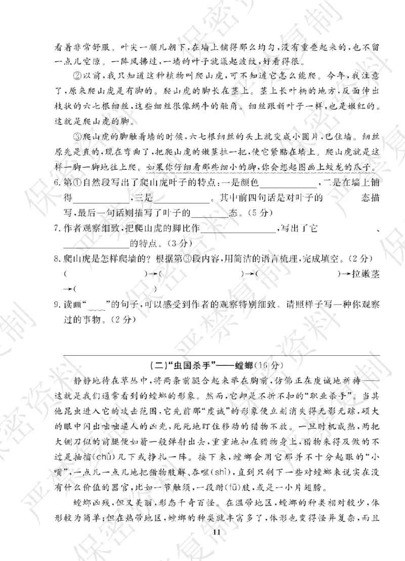 A+题优名卷期中-R4语上_扫描版_语数英1-6年级期中试卷电子版A+题优名卷_语文-人教版