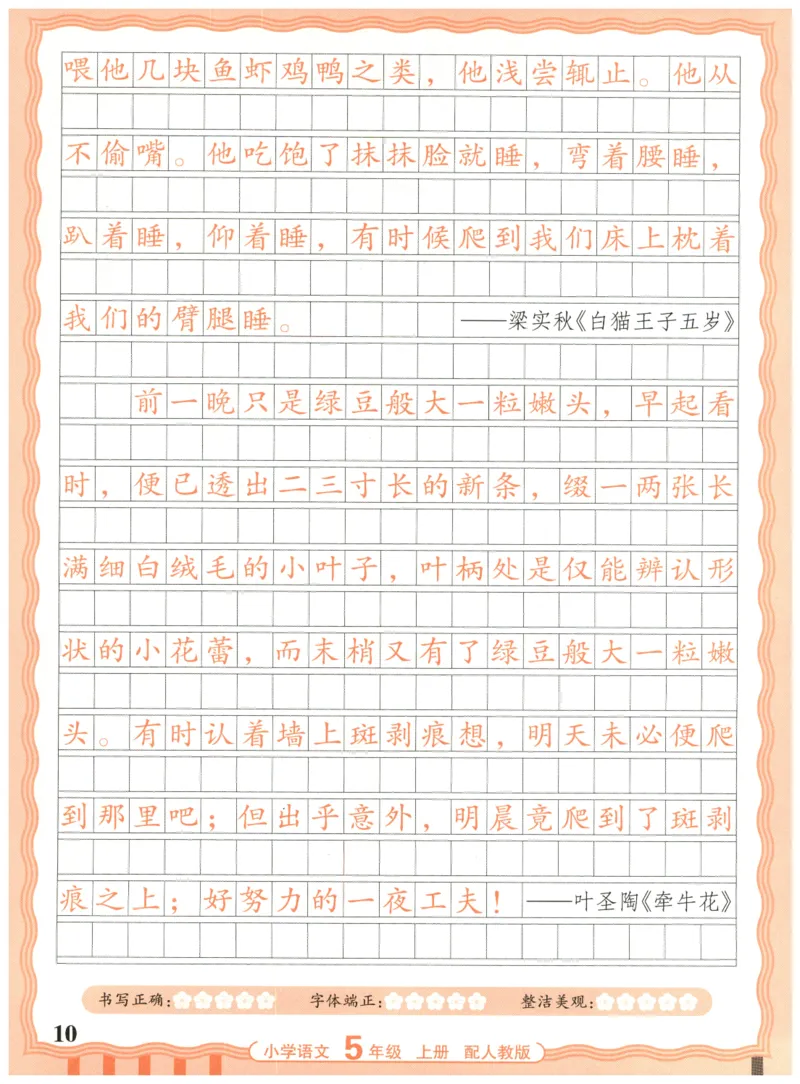 25秋王朝霞活页同步字帖-5年级上_25秋《王朝霞语文活页同步字帖》1-6上