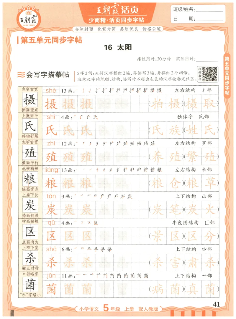 25秋王朝霞活页同步字帖-5年级上_25秋《王朝霞语文活页同步字帖》1-6上