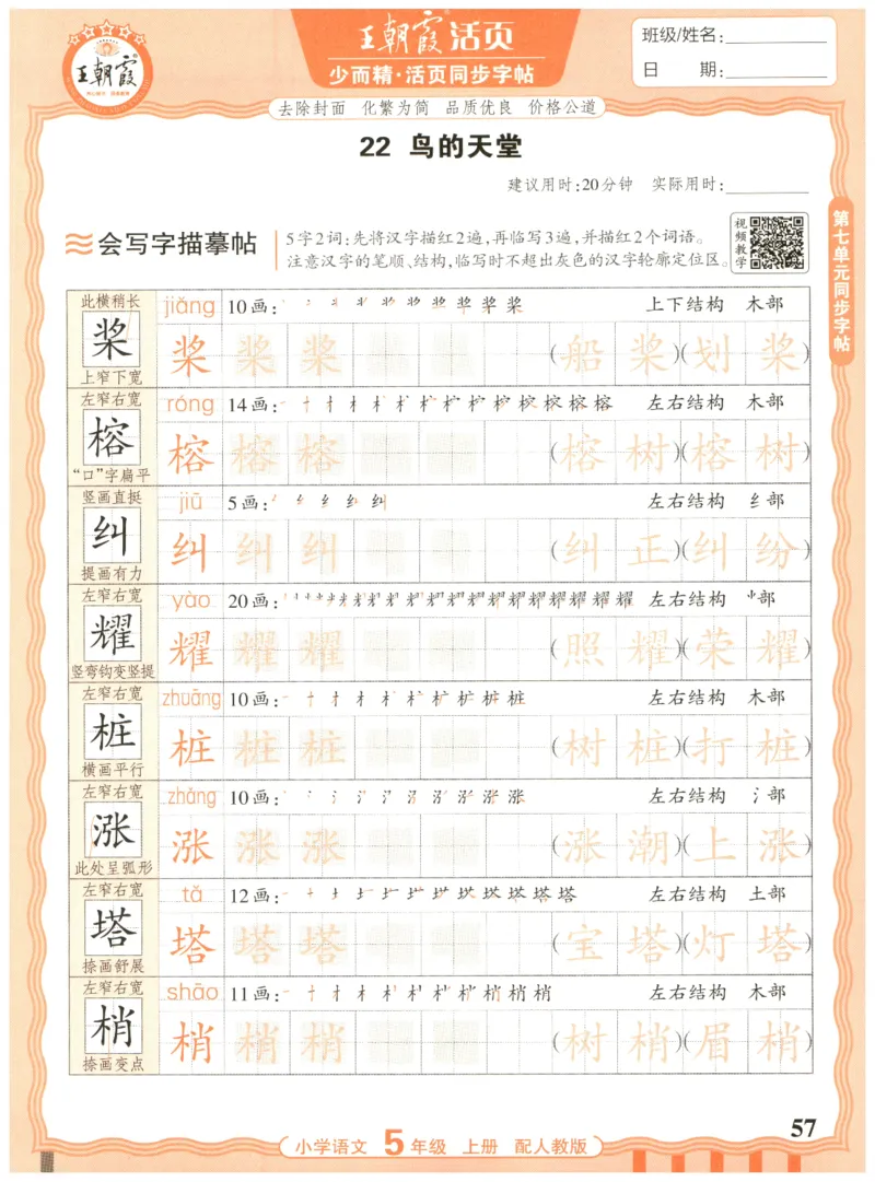 25秋王朝霞活页同步字帖-5年级上_25秋《王朝霞语文活页同步字帖》1-6上