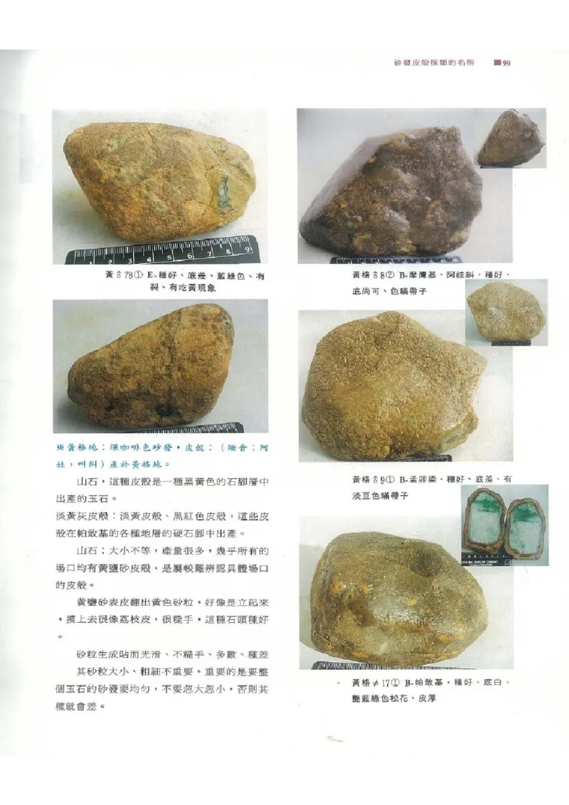 翡翠原石之旅1_X018-玉石珠宝鉴定教程最新合集_6、翡翠鉴定专题全套课程_翡翠电子书_翡翠品评