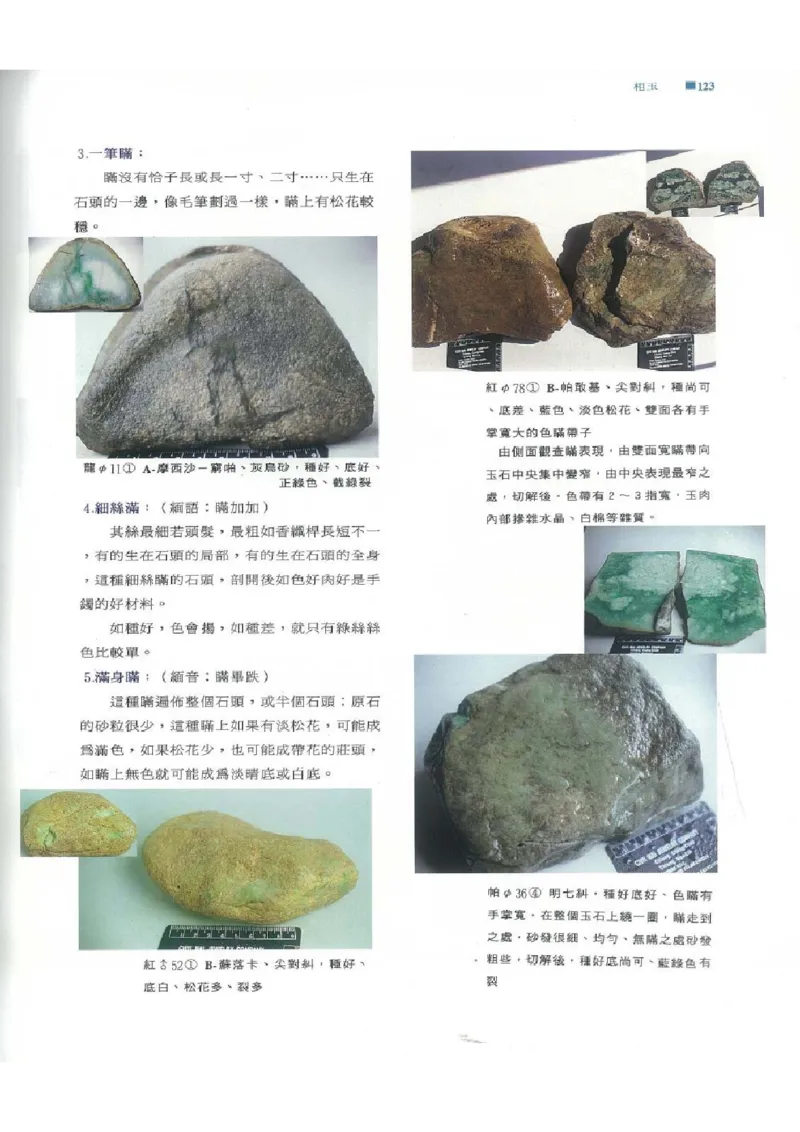 翡翠原石之旅1_X018-玉石珠宝鉴定教程最新合集_6、翡翠鉴定专题全套课程_翡翠电子书_翡翠品评