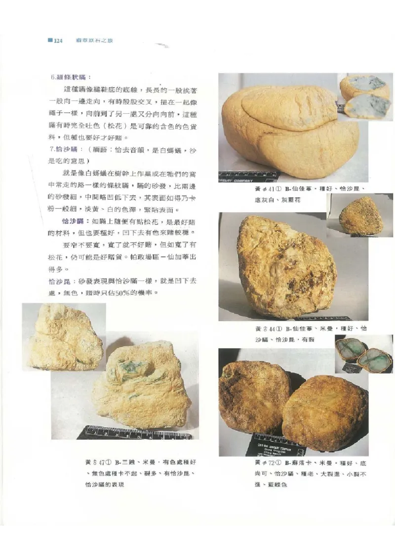 翡翠原石之旅1_X018-玉石珠宝鉴定教程最新合集_6、翡翠鉴定专题全套课程_翡翠电子书_翡翠品评
