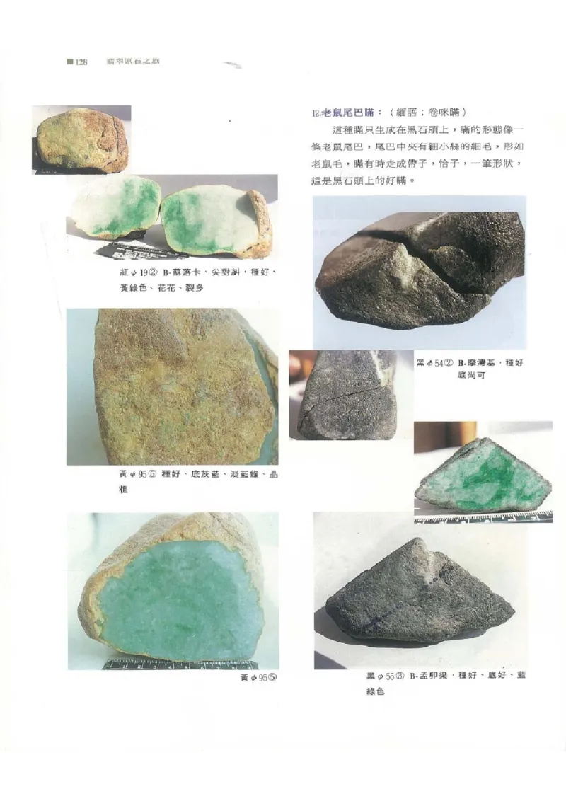 翡翠原石之旅1_X018-玉石珠宝鉴定教程最新合集_6、翡翠鉴定专题全套课程_翡翠电子书_翡翠品评