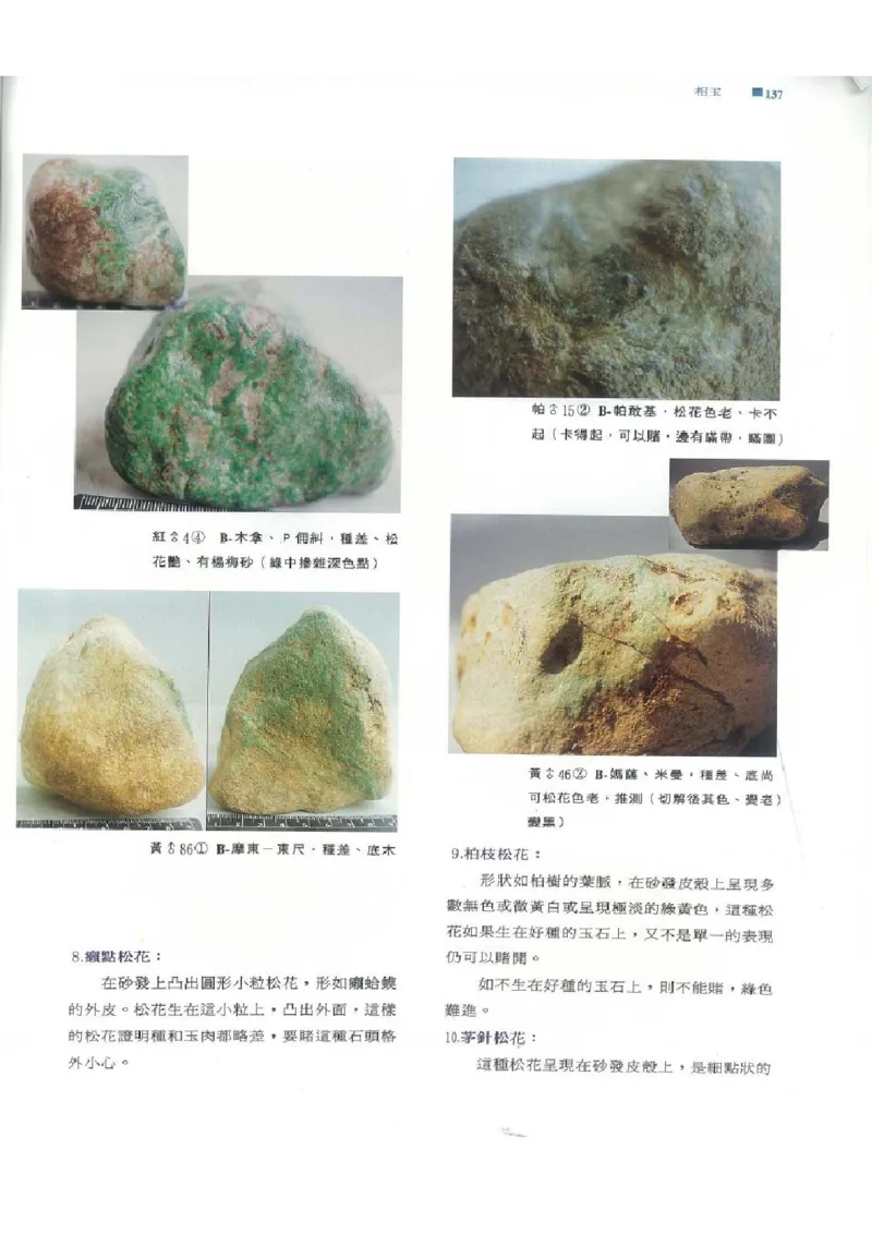 翡翠原石之旅1_X018-玉石珠宝鉴定教程最新合集_6、翡翠鉴定专题全套课程_翡翠电子书_翡翠品评