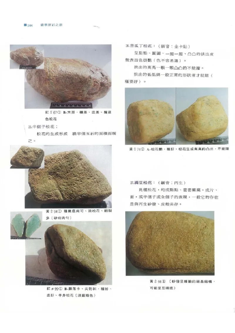 翡翠原石之旅1_X018-玉石珠宝鉴定教程最新合集_6、翡翠鉴定专题全套课程_翡翠电子书_翡翠品评