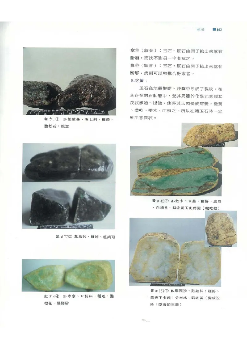 翡翠原石之旅1_X018-玉石珠宝鉴定教程最新合集_6、翡翠鉴定专题全套课程_翡翠电子书_翡翠品评