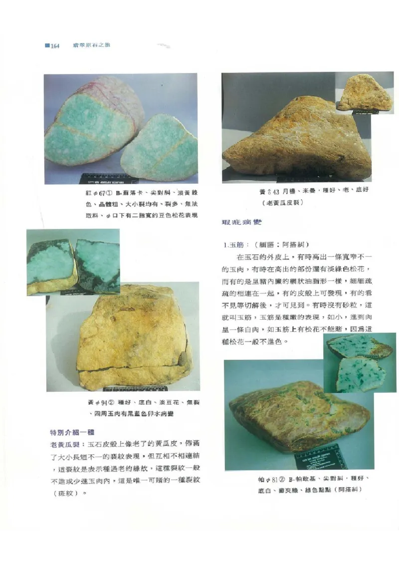 翡翠原石之旅1_X018-玉石珠宝鉴定教程最新合集_6、翡翠鉴定专题全套课程_翡翠电子书_翡翠品评