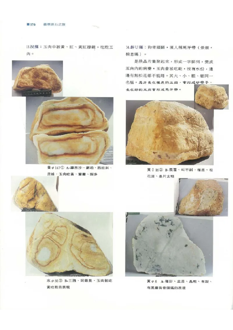 翡翠原石之旅1_X018-玉石珠宝鉴定教程最新合集_6、翡翠鉴定专题全套课程_翡翠电子书_翡翠品评