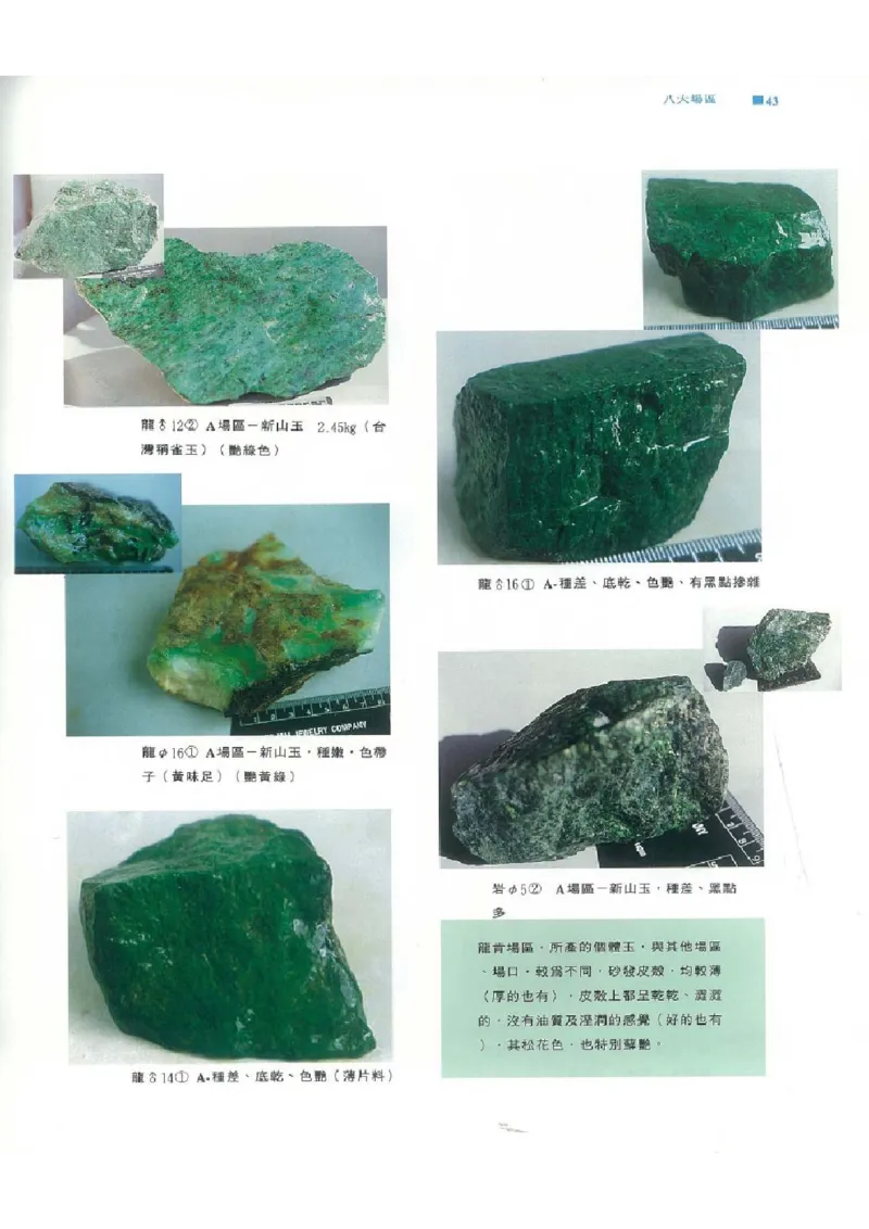 翡翠原石之旅1_X018-玉石珠宝鉴定教程最新合集_6、翡翠鉴定专题全套课程_翡翠电子书_翡翠品评