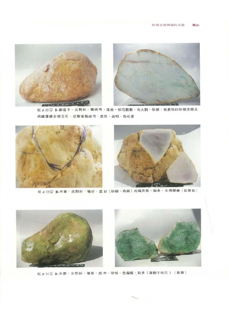 翡翠原石之旅1_X018-玉石珠宝鉴定教程最新合集_6、翡翠鉴定专题全套课程_翡翠电子书_翡翠品评