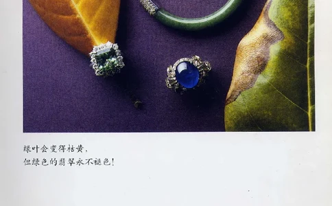 珠宝玉石鉴赏珍藏版翡翠鉴赏_X018-玉石珠宝鉴定教程最新合集_3、珠宝玉石鉴赏学习资料合集