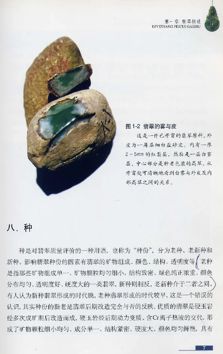 珠宝玉石鉴赏珍藏版翡翠鉴赏_X018-玉石珠宝鉴定教程最新合集_3、珠宝玉石鉴赏学习资料合集