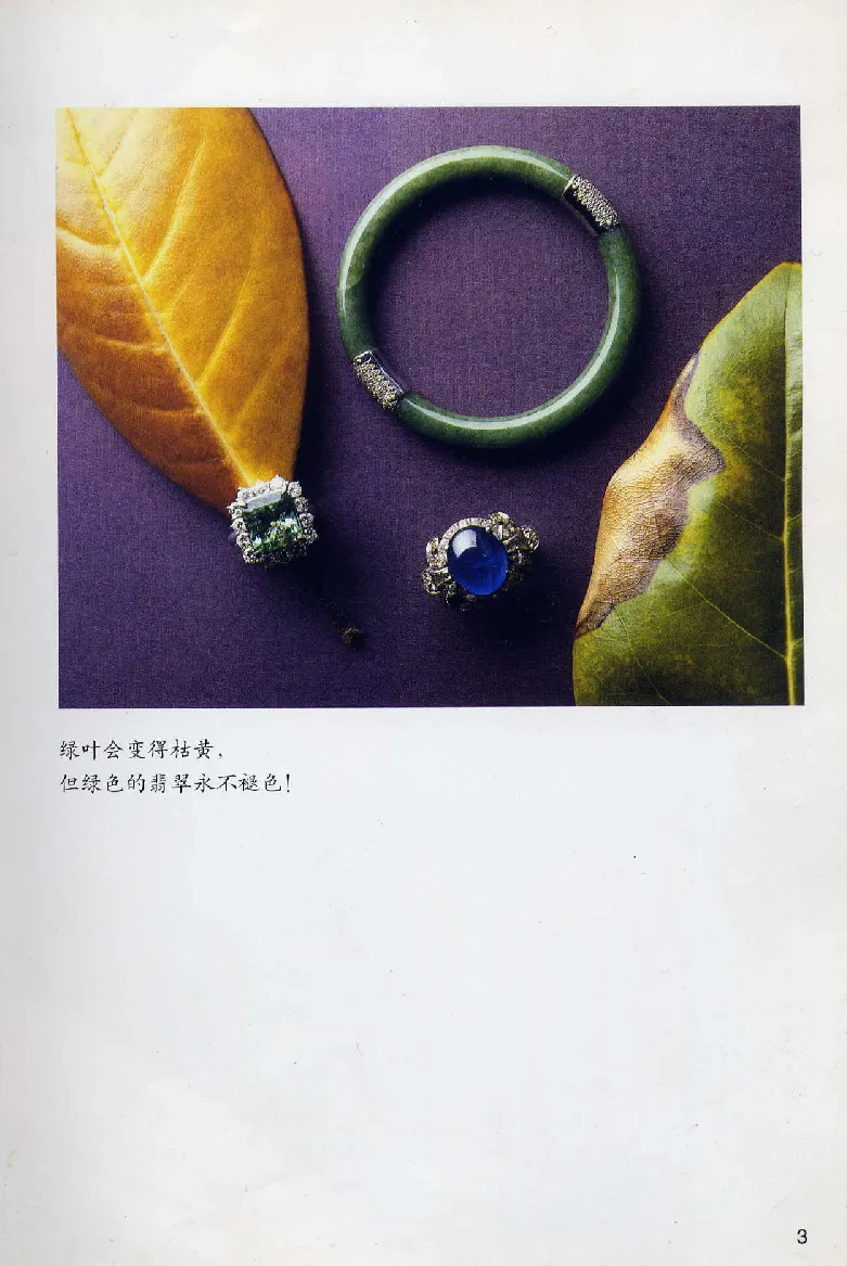 珠宝玉石鉴赏珍藏版翡翠鉴赏_X018-玉石珠宝鉴定教程最新合集_3、珠宝玉石鉴赏学习资料合集