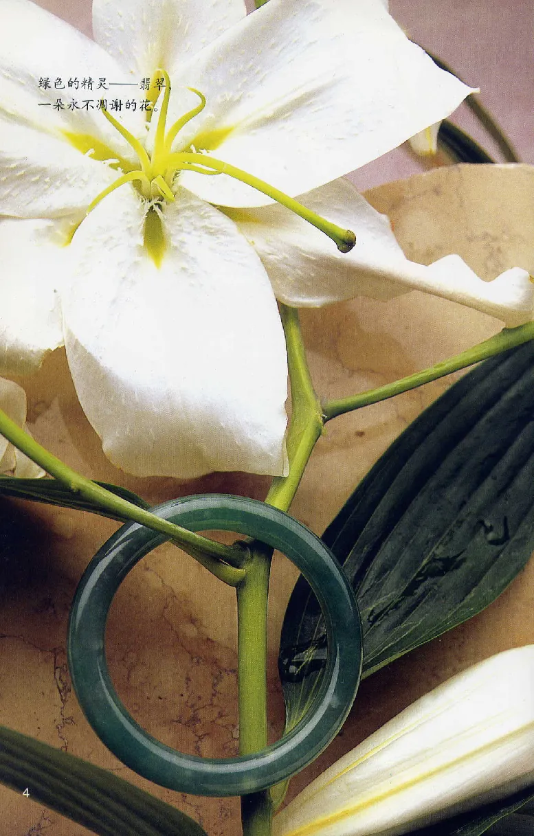 珠宝玉石鉴赏珍藏版翡翠鉴赏_X018-玉石珠宝鉴定教程最新合集_3、珠宝玉石鉴赏学习资料合集