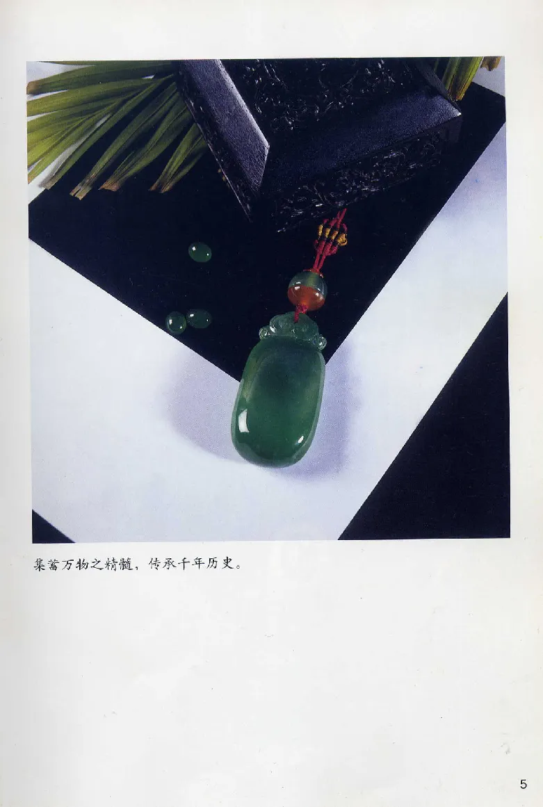 珠宝玉石鉴赏珍藏版翡翠鉴赏_X018-玉石珠宝鉴定教程最新合集_3、珠宝玉石鉴赏学习资料合集