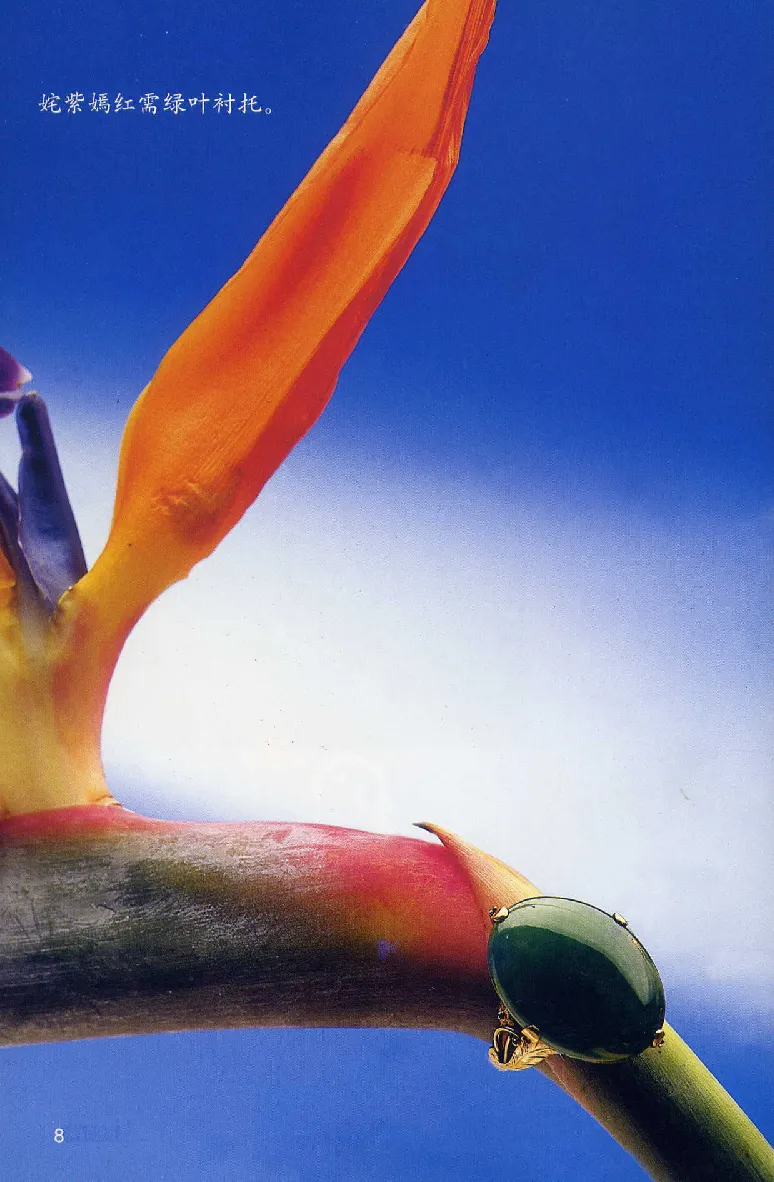 珠宝玉石鉴赏珍藏版翡翠鉴赏_X018-玉石珠宝鉴定教程最新合集_3、珠宝玉石鉴赏学习资料合集