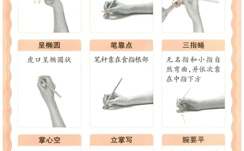 25秋王朝霞活页同步字帖-1年级上_25秋《王朝霞语文活页同步字帖》1-6上