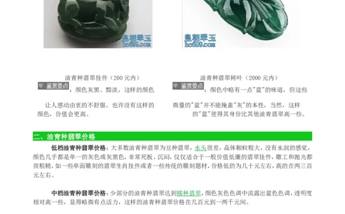 油青种翡翠_X018-玉石珠宝鉴定教程最新合集_8、玉石翡翠鉴定与投资电子资料