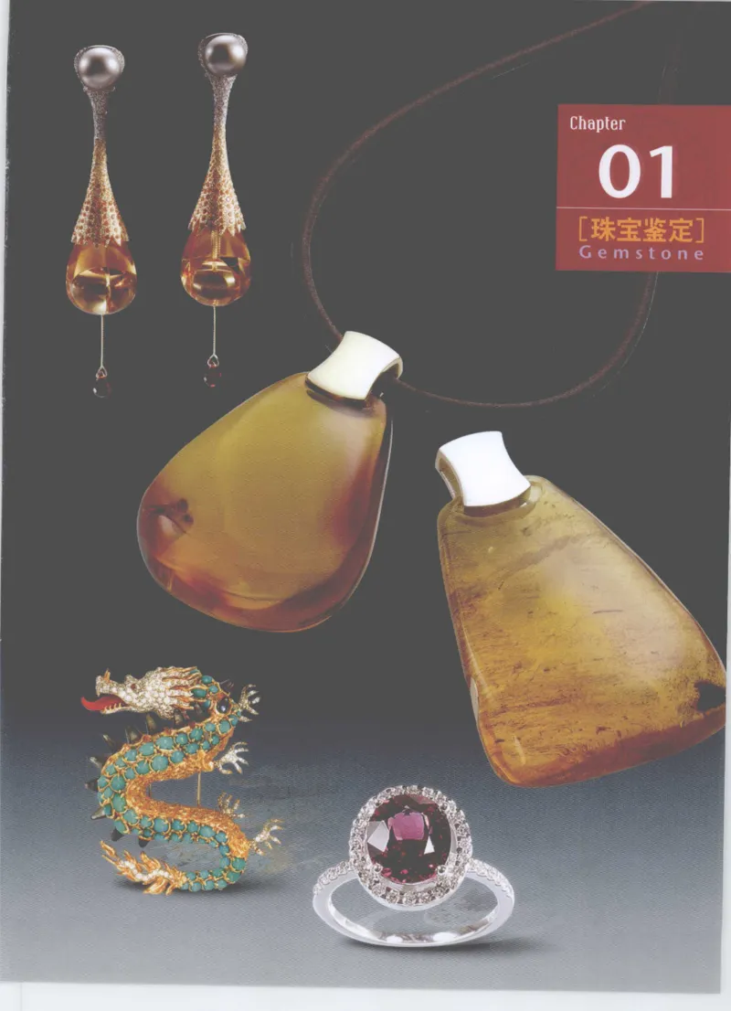 珠宝鉴定__X018-玉石珠宝鉴定教程最新合集_4、珠宝玉石鉴定投资手册合集