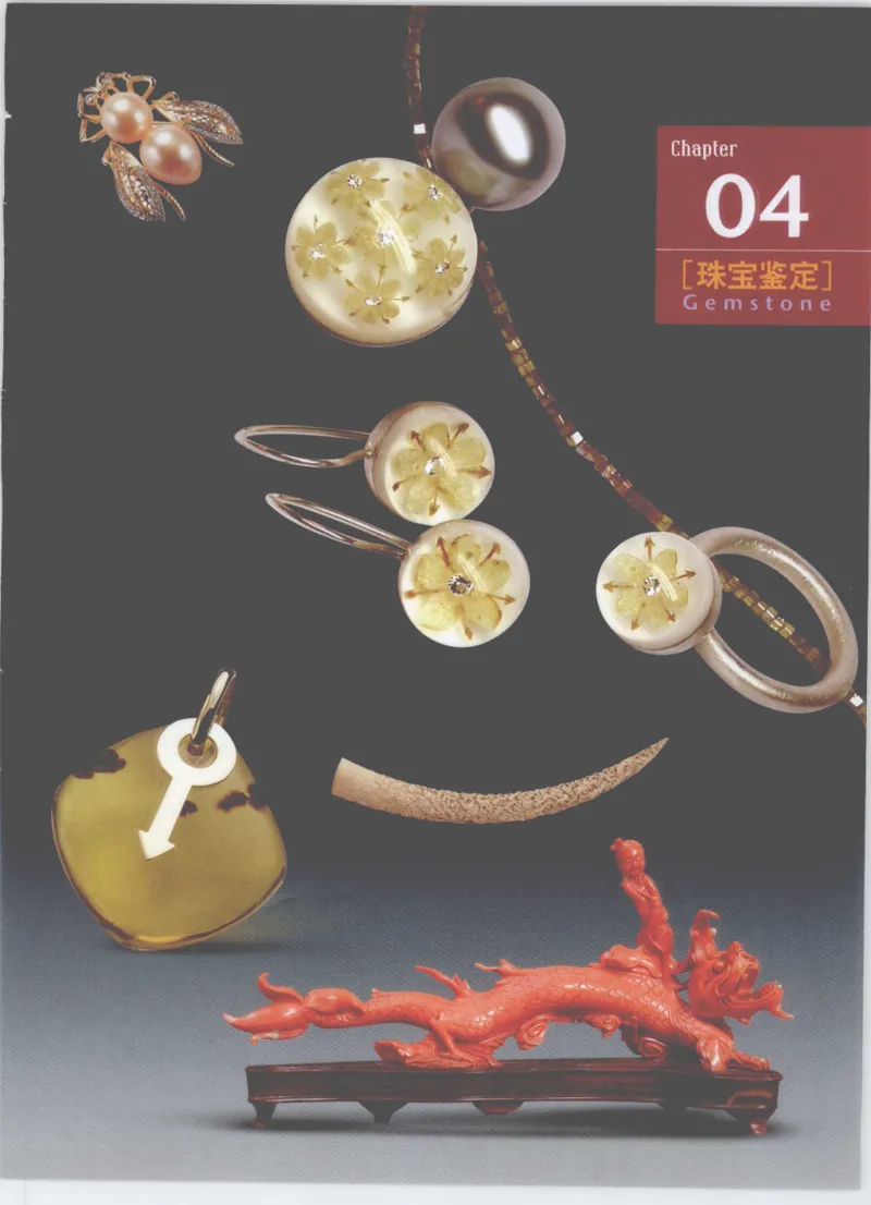 珠宝鉴定__X018-玉石珠宝鉴定教程最新合集_4、珠宝玉石鉴定投资手册合集
