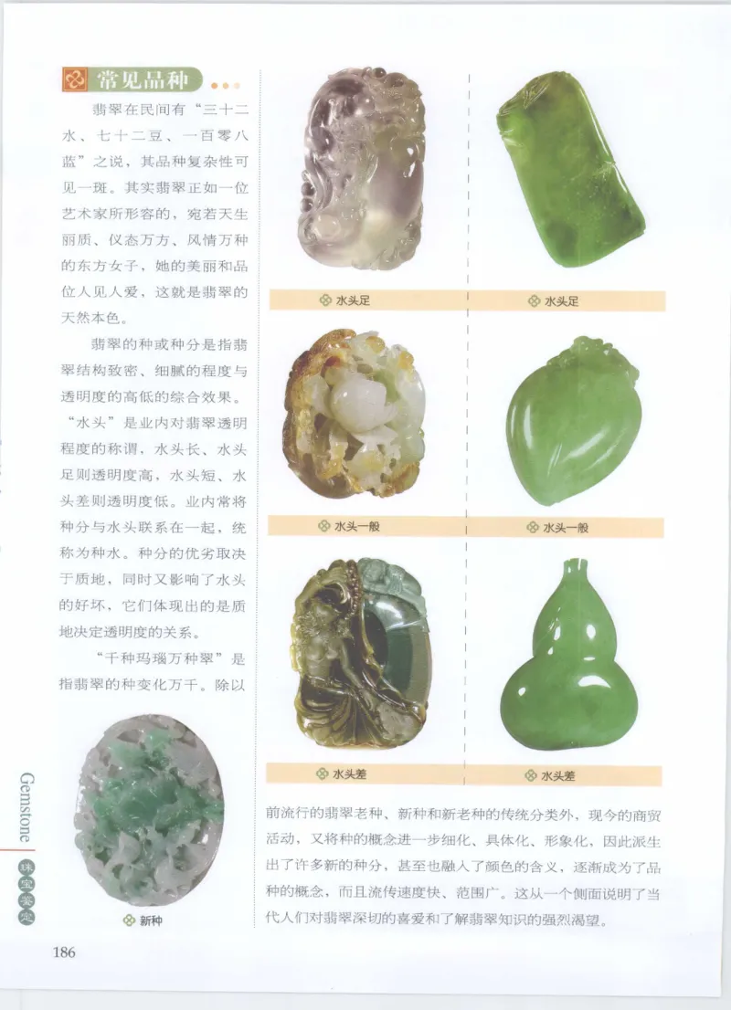 珠宝鉴定__X018-玉石珠宝鉴定教程最新合集_4、珠宝玉石鉴定投资手册合集