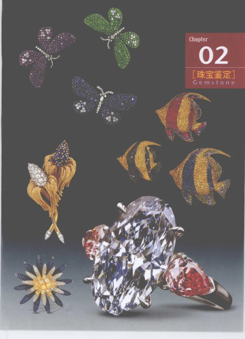 珠宝鉴定__X018-玉石珠宝鉴定教程最新合集_4、珠宝玉石鉴定投资手册合集