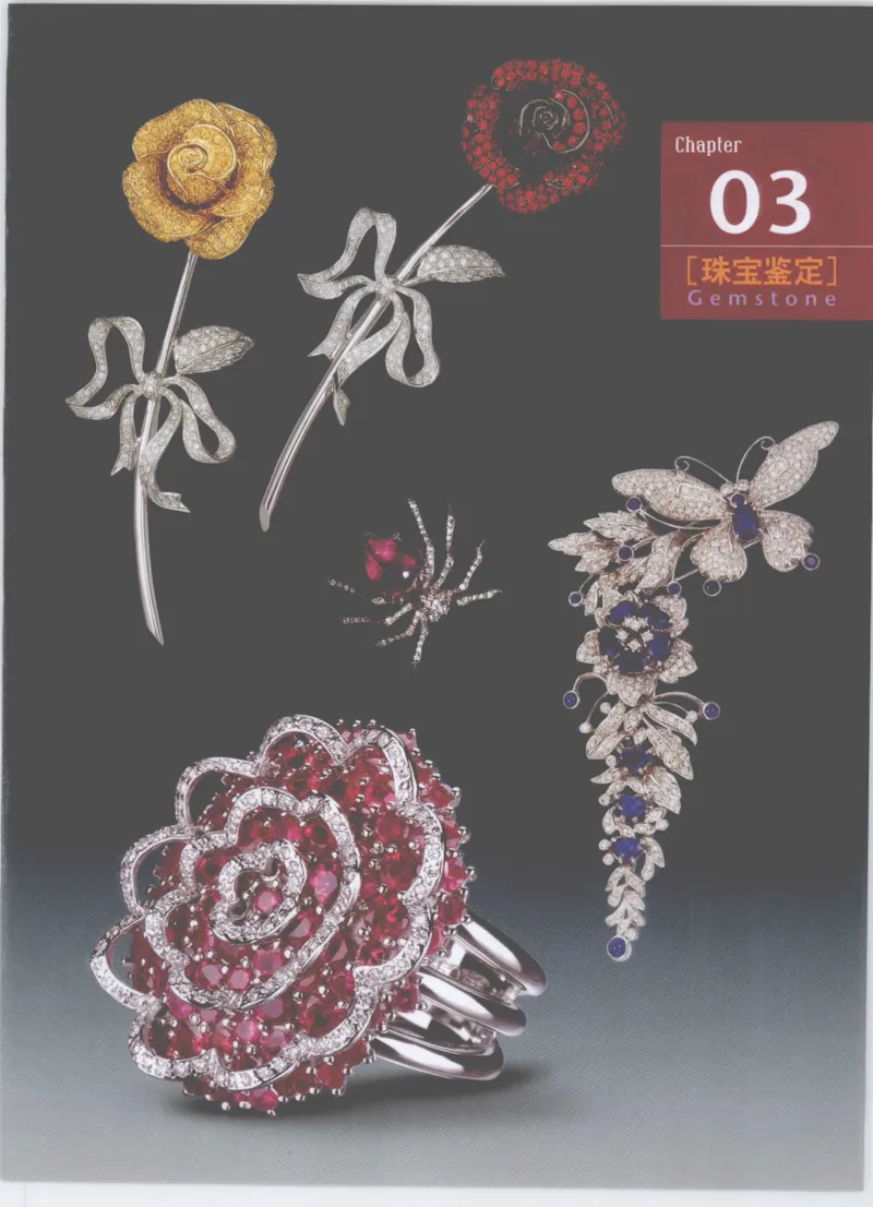 珠宝鉴定__X018-玉石珠宝鉴定教程最新合集_4、珠宝玉石鉴定投资手册合集