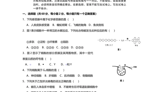 2013年高考生物试卷（上海）（空白卷）_生物历年高考真题_新&middot;Word版2008-2025&middot;高考生物真题_生物（按年份分类）2008-2025_2013&middot;高考生物真题