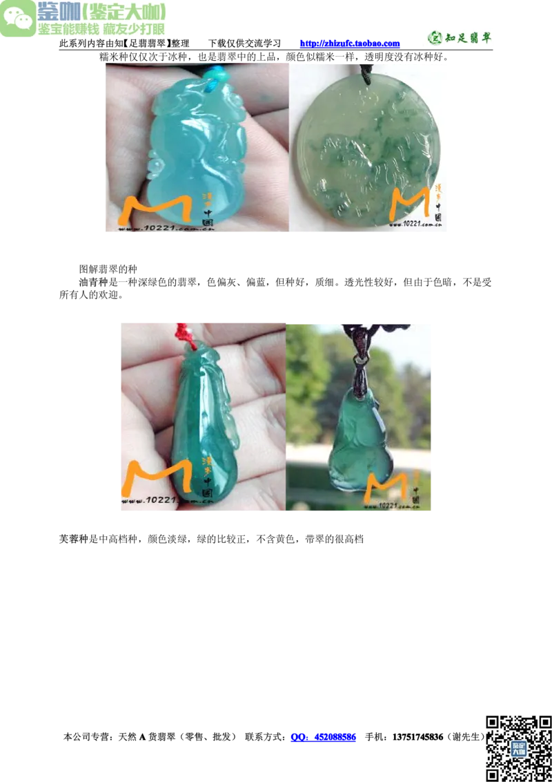 翡翠入门-种类_X018-玉石珠宝鉴定教程最新合集_6、翡翠鉴定专题全套课程_翡翠电子书_更新