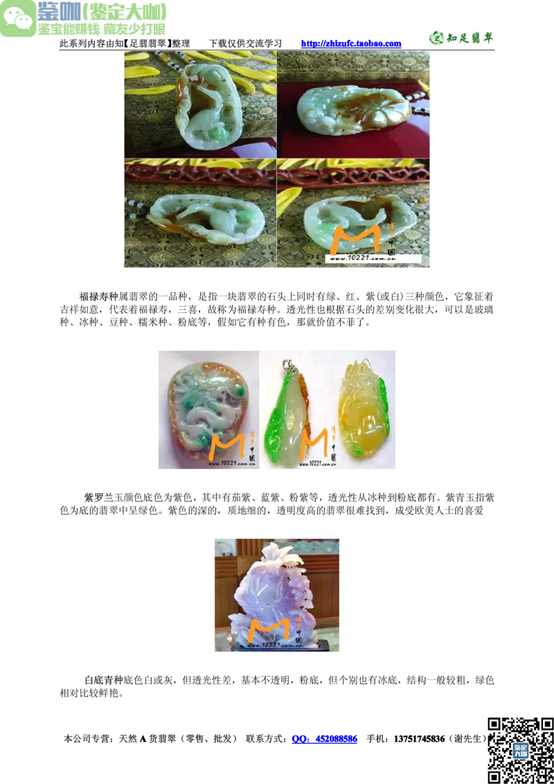 翡翠入门-种类_X018-玉石珠宝鉴定教程最新合集_6、翡翠鉴定专题全套课程_翡翠电子书_更新