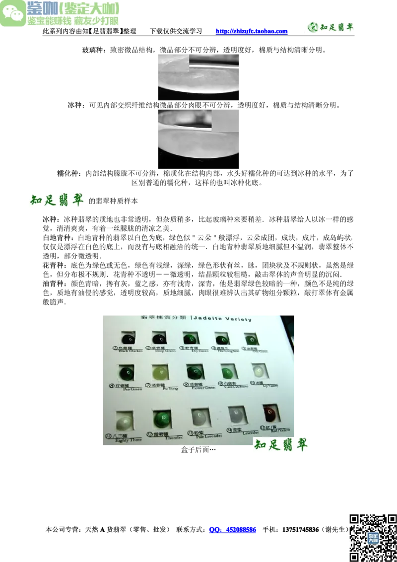 翡翠入门-种类_X018-玉石珠宝鉴定教程最新合集_6、翡翠鉴定专题全套课程_翡翠电子书_更新