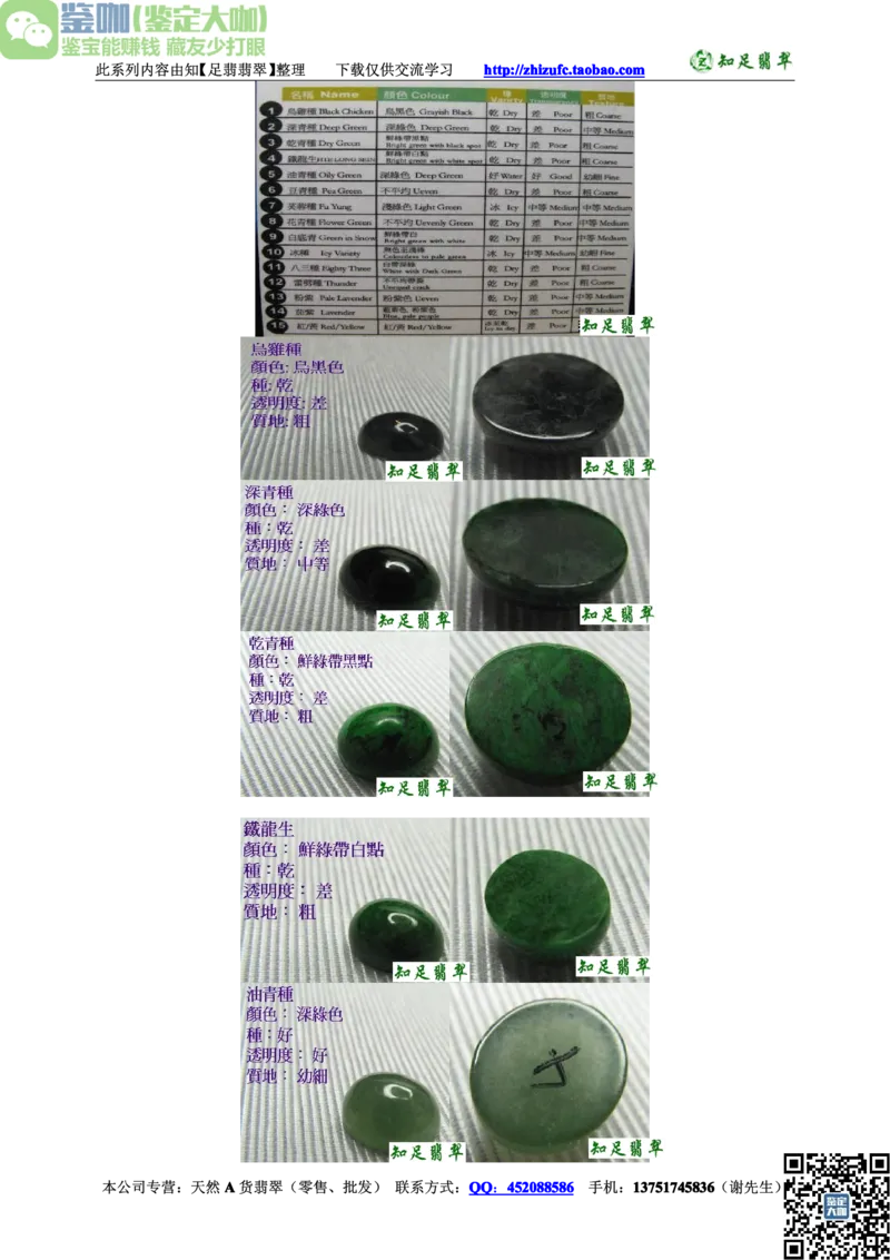 翡翠入门-种类_X018-玉石珠宝鉴定教程最新合集_6、翡翠鉴定专题全套课程_翡翠电子书_更新