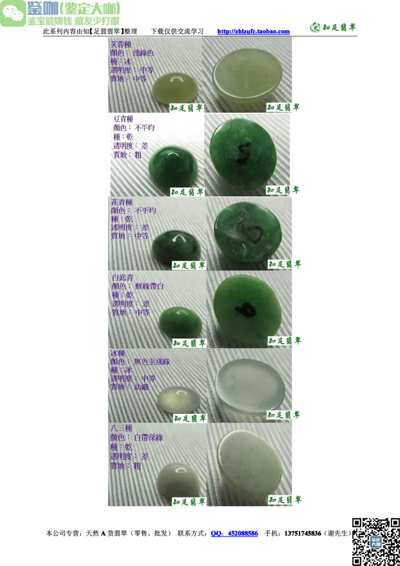 翡翠入门-种类_X018-玉石珠宝鉴定教程最新合集_6、翡翠鉴定专题全套课程_翡翠电子书_更新
