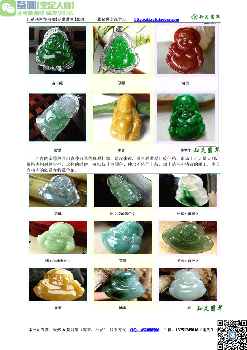 翡翠入门-种类_X018-玉石珠宝鉴定教程最新合集_6、翡翠鉴定专题全套课程_翡翠电子书_更新