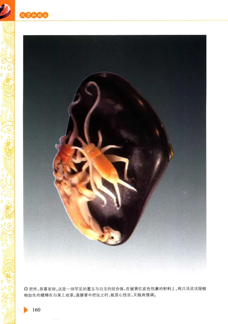 玩赏和田玉__X018-玉石珠宝鉴定教程最新合集_7、和田玉鉴定专题全套课程_和田玉电子书