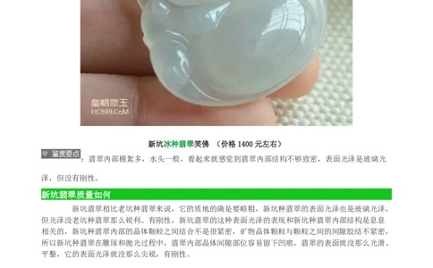 新坑种翡翠_X018-玉石珠宝鉴定教程最新合集_8、玉石翡翠鉴定与投资电子资料_赌石专题