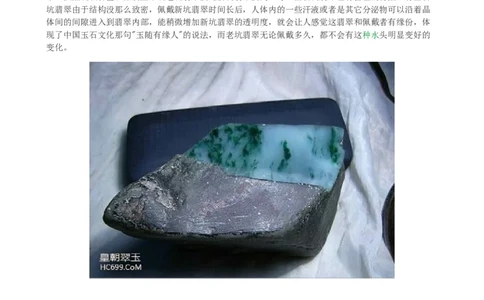 新坑种翡翠_X018-玉石珠宝鉴定教程最新合集_8、玉石翡翠鉴定与投资电子资料_赌石专题