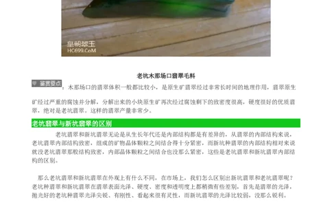 新坑种翡翠_X018-玉石珠宝鉴定教程最新合集_8、玉石翡翠鉴定与投资电子资料_赌石专题