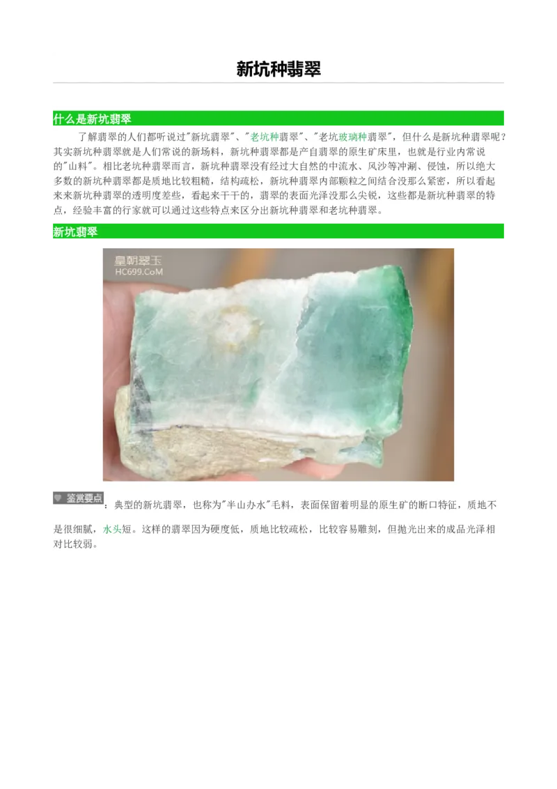 新坑种翡翠_X018-玉石珠宝鉴定教程最新合集_8、玉石翡翠鉴定与投资电子资料_赌石专题